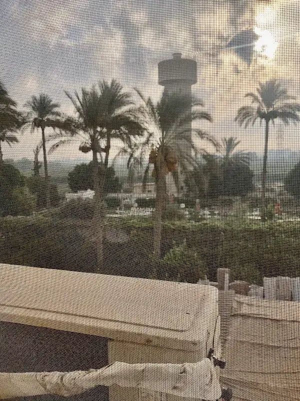 عيادة دكتور باهي محمد عفيفي أخصائي الاطفال