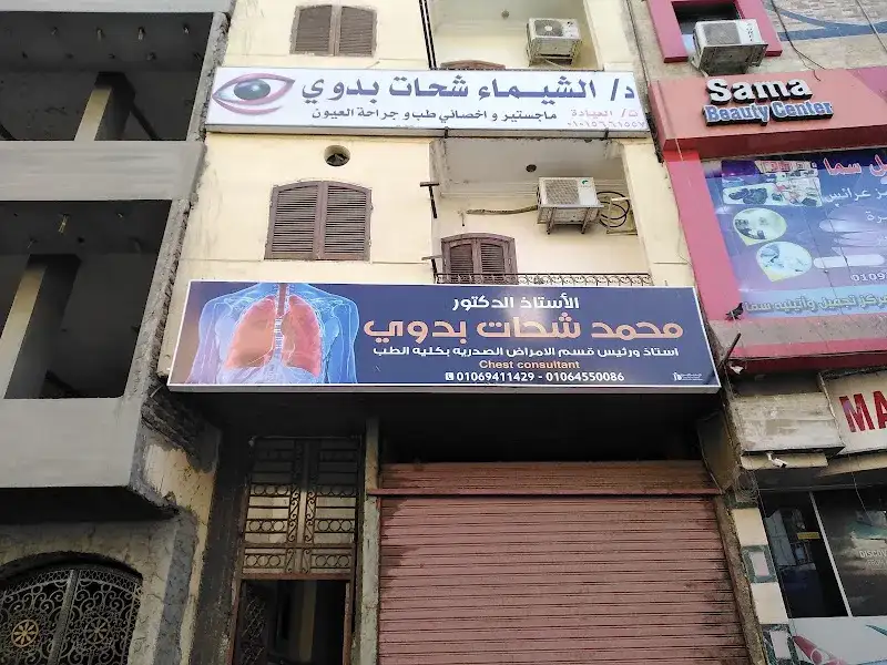 Dr. Mohamed Shehata Badawy