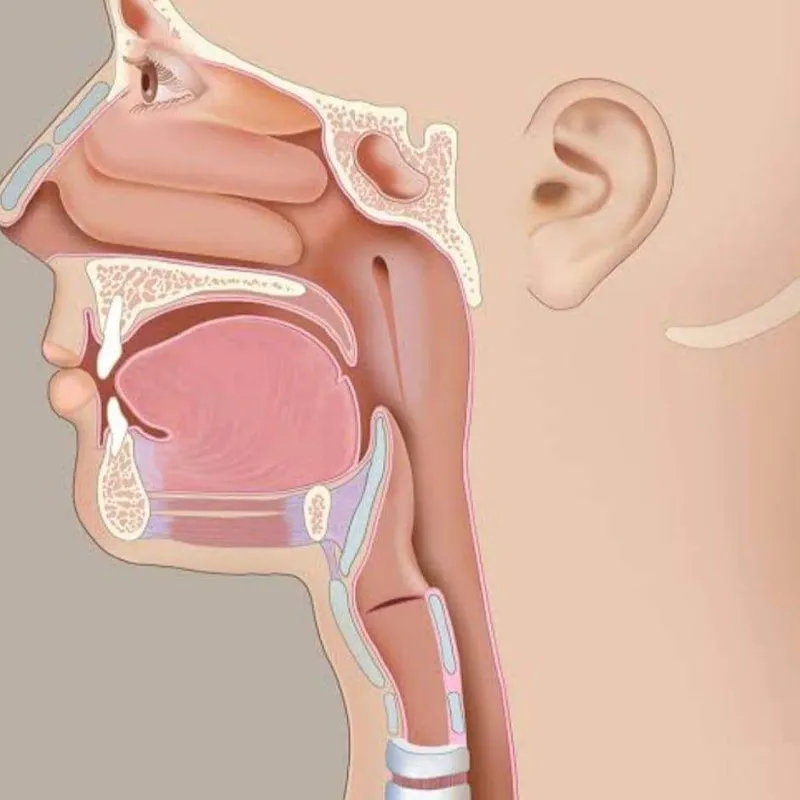 Dr. Mohamed Abdel Rahman Abu Bakr for Ear, Nose, and Throat Surgery in Minya