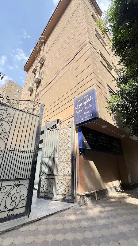 د/ سعيد واصف