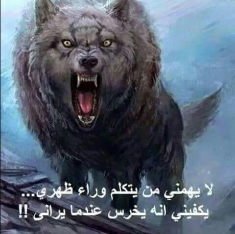 Dr. Mohammed Al Attar Clinic