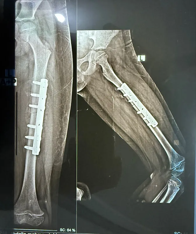 Dr Mostafa Emad Clinic Dr. Mustafa Emad Orthopedic Clinic