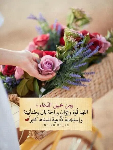 عيادة الدكتور عبدالحميد الزغبي أخصائي جراحة العظام