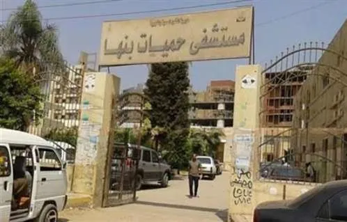 د. فاطمة محمد