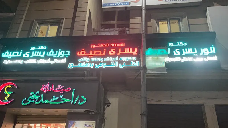 Prof. Dr. Yousry Nassif