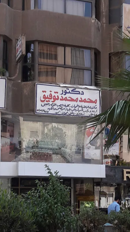 الدكتور محمد سالم