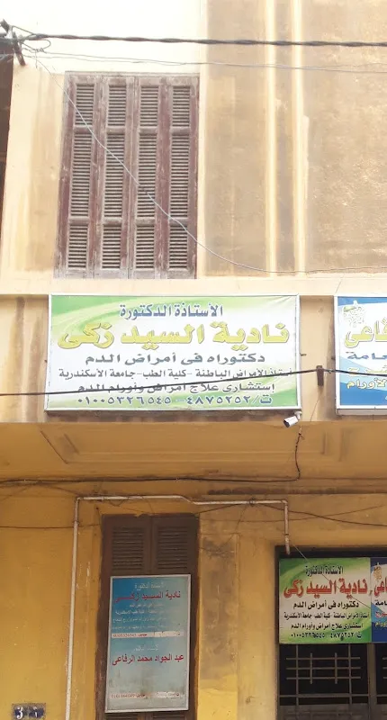 الأستاذة الدكتورة نادية السيد زكى