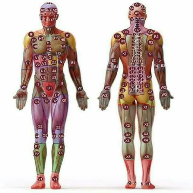مركز الاسراء للعلاج الطبيعي والتخسيس