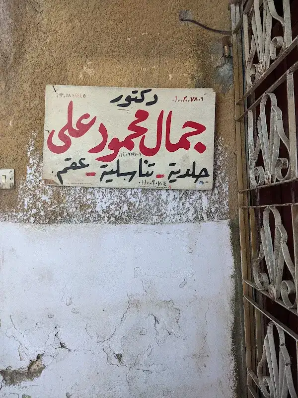 د/جمال محمود على