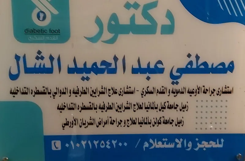Dr. Mostafa El-Shal