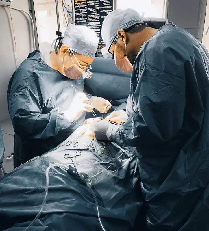 Egypt Heart Clinics Cardiothoracic Surgery Dr. Joseph George