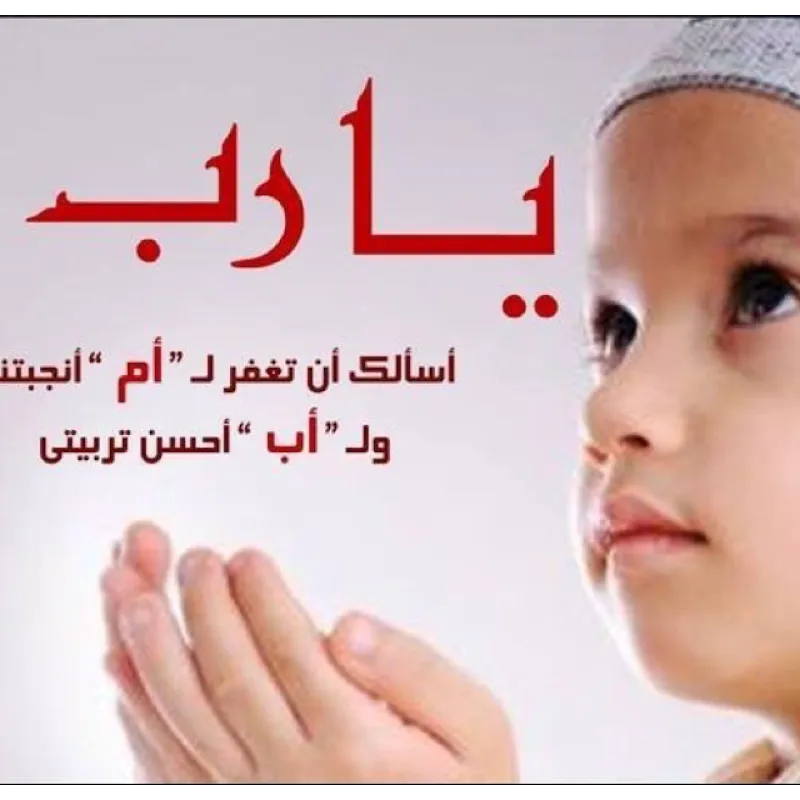 دكتورعبد المعطي السمنودي