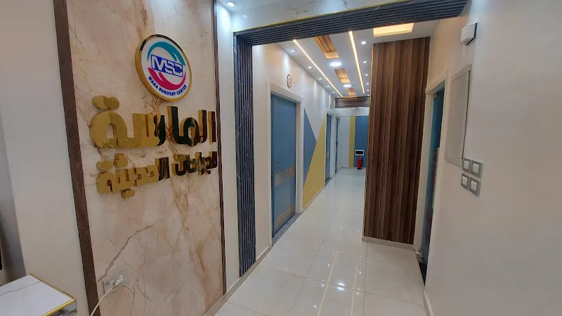 د. احمد فؤاد عامر
