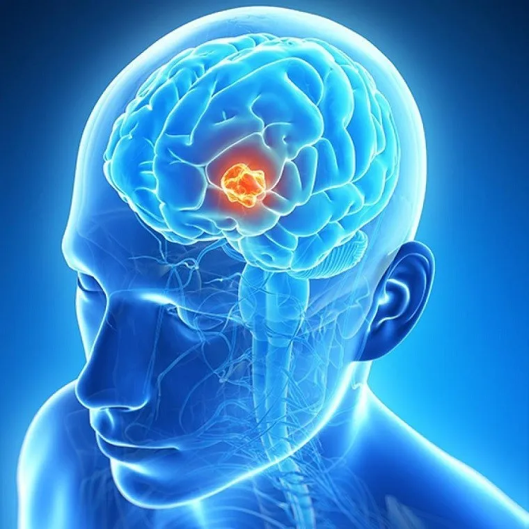 Dr. Ahmed Abdel Ghany El Hedewy Center for Neurosurgery and Spine Surgery