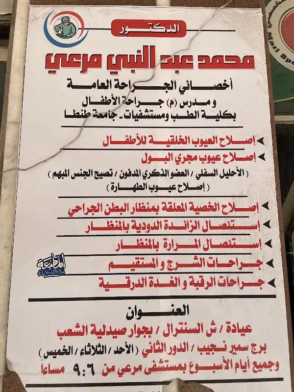 د. محمد عبد العزيز المحلاوى