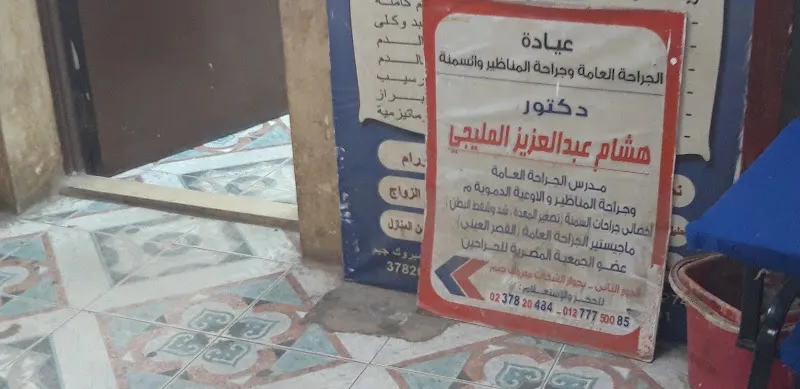 دكتور هشام عبدالعزيز المليجي