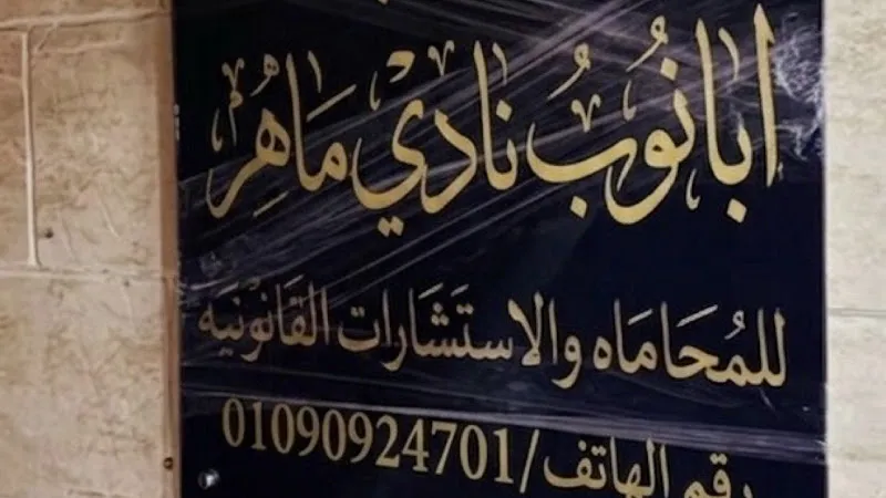 Law Office of Consultant Abanoub Nady, Attorney at Law