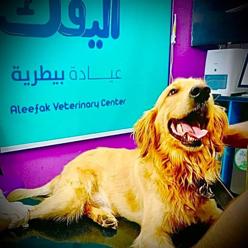 Aleefak Veterinary Clinic Nasr City