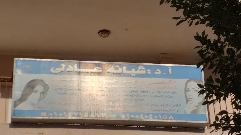 أ.د شبانه عادلى