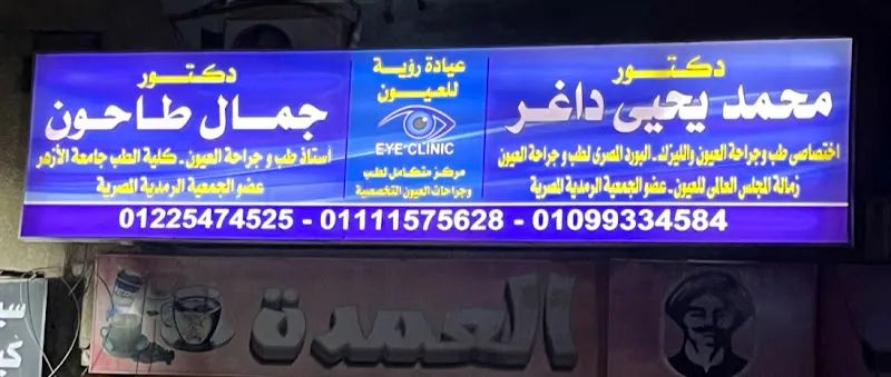دكتور حسام الدين محمد حسنين
