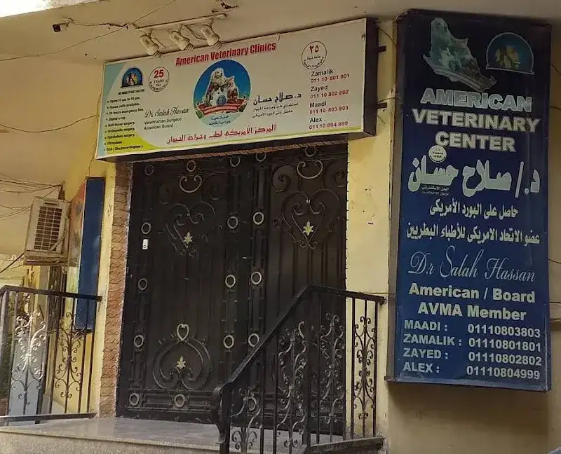 American Vet Center - American Center for Animal Medicine and Surgery