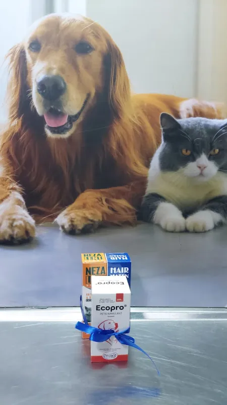 Prime Vet Care - Maadi Veterinary Clinic