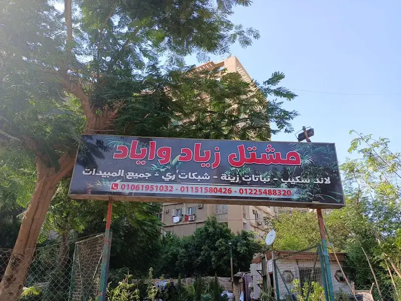 Elite Heart Center Zahraa El Maadi