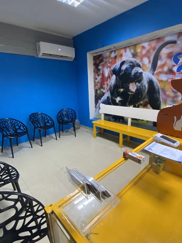 Pulse veterinary clinic