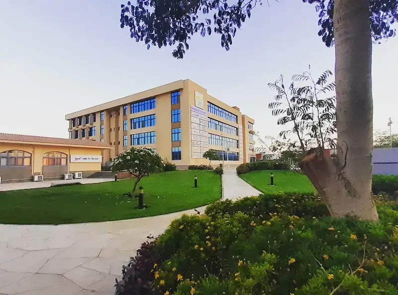 استاذ دكتور نهله السيد ناجي