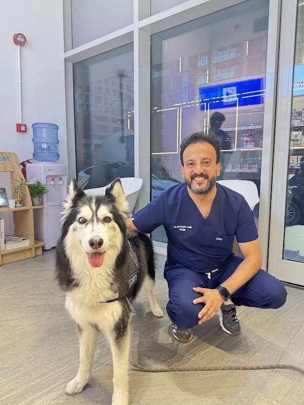 Bluevets Veterinary Center المستشفي البيطري بالشروق