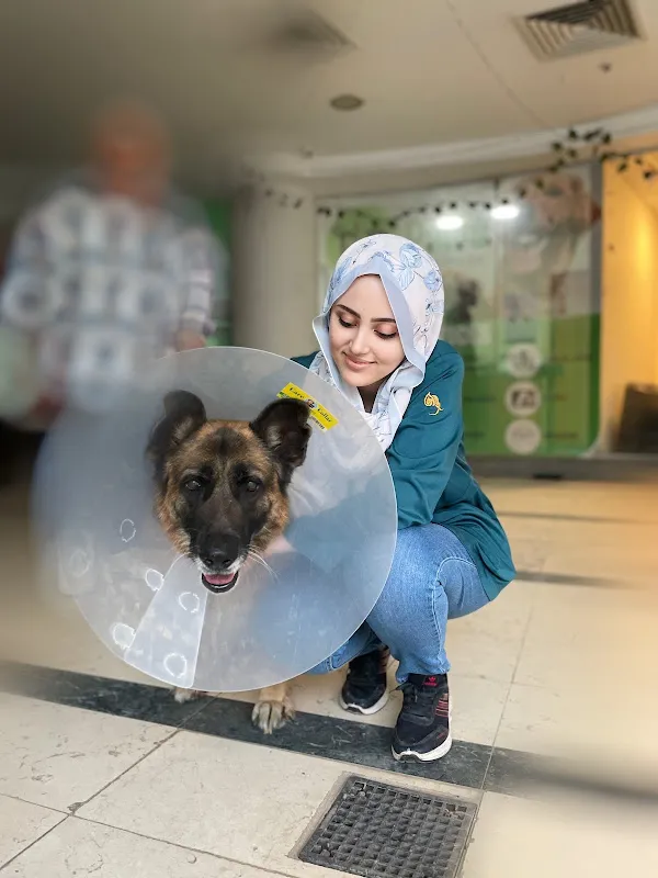 Dr paws hospital Al Sheikh Zayed
