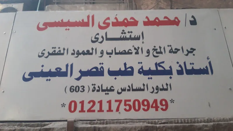 د/ محمد حمدى السيسى
