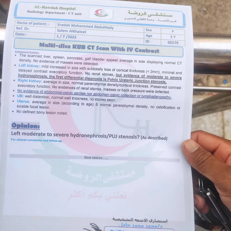 دكتور مصطفى الدميرى