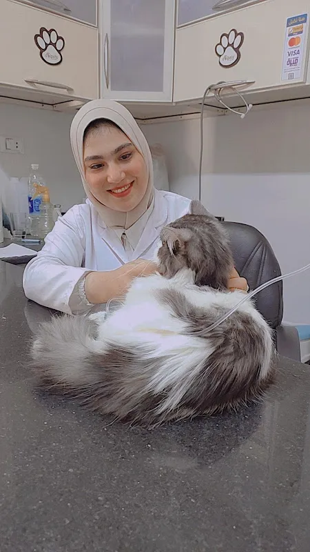 المركز الطبي البيطري
