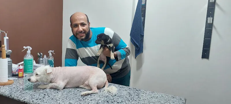 Dr Green Animal Hospital