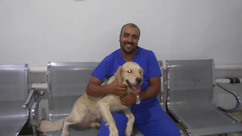 Dr.mohamed Ali د. محمد على سلامه