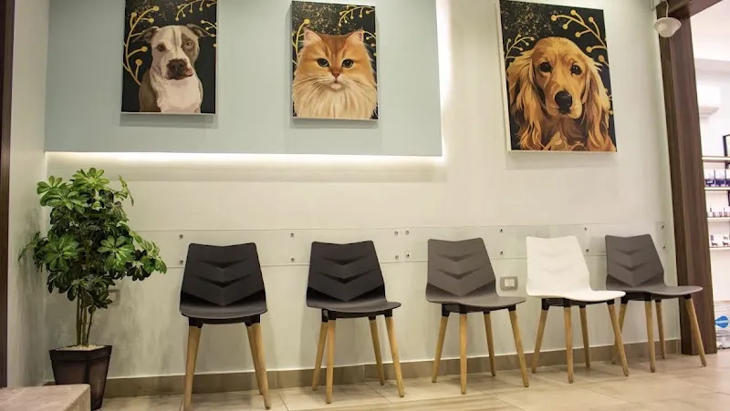 Pet city vet clinic