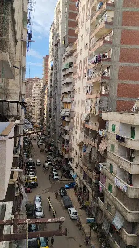 الأستاذ الدكتور أمير على الدين أبو سمرة