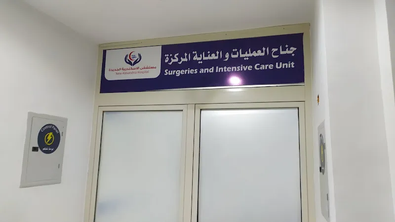 مستشفى الاسكندرية الجديدة الطبية - New Alex Hospital
