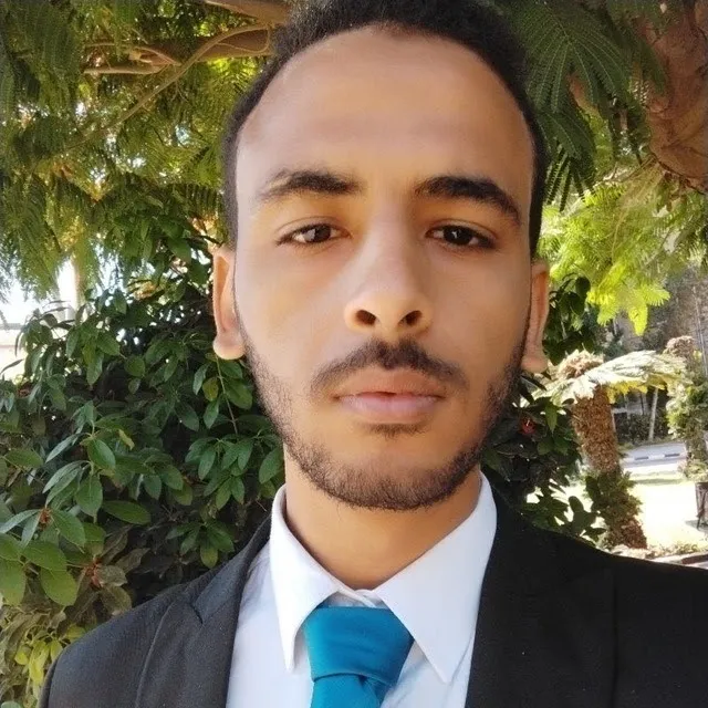 Dr Mostafa Mokhtar