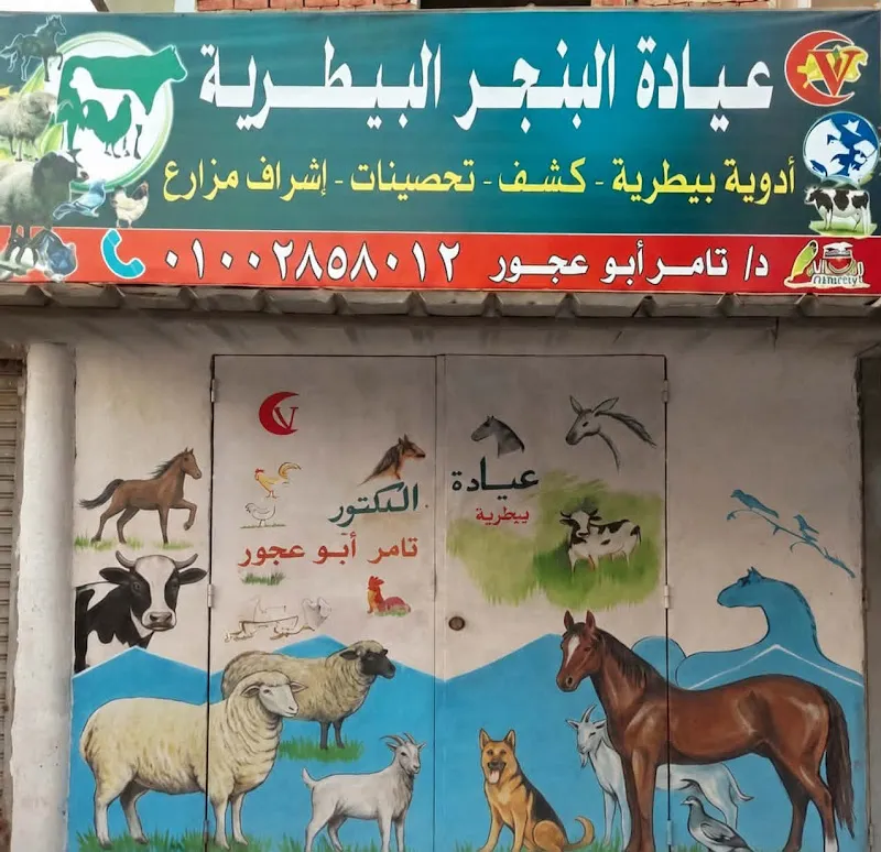 عيادة دكتور تامر ابو عجور البيطرية بنجر السكر قرية1 برج العرب