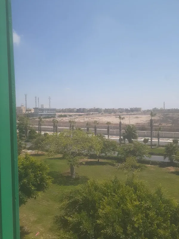 قسم شرطة برج العرب الجديدة