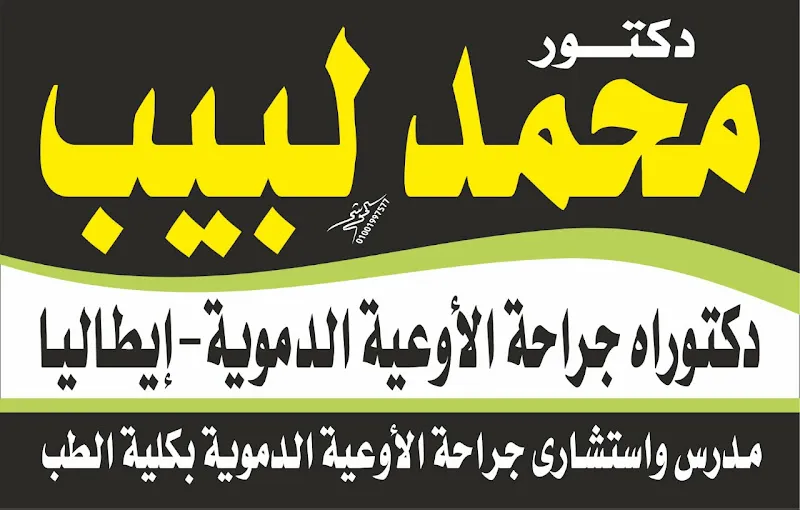 Dr. Mohamed Labib Vascular and Endovascular Surgery Clinic