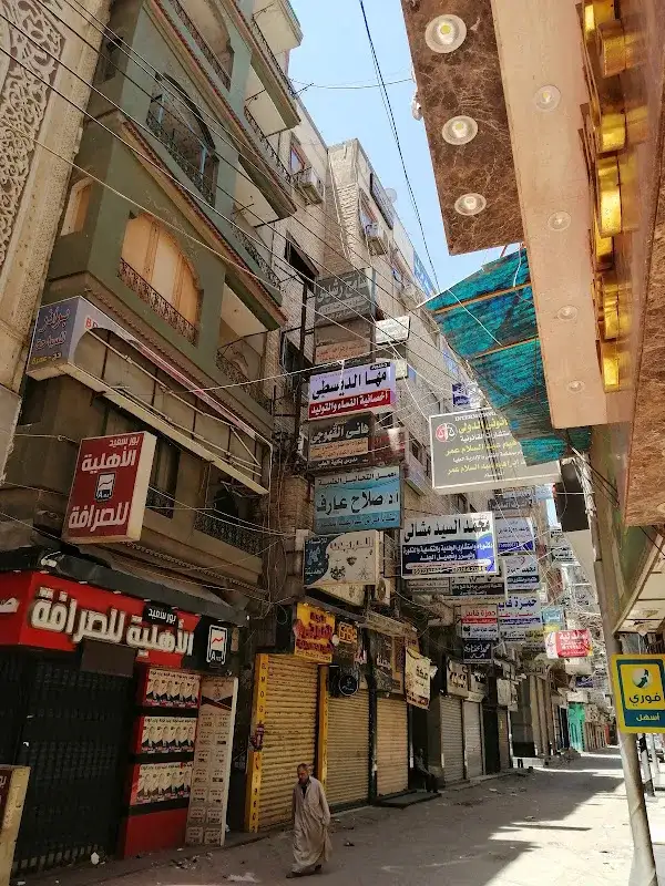 الأستاذ الدكتور عبد الجواد المتولي