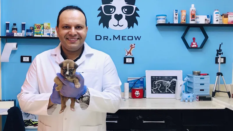Dr. Meow Pets Clinic - The Veterinary Hospital