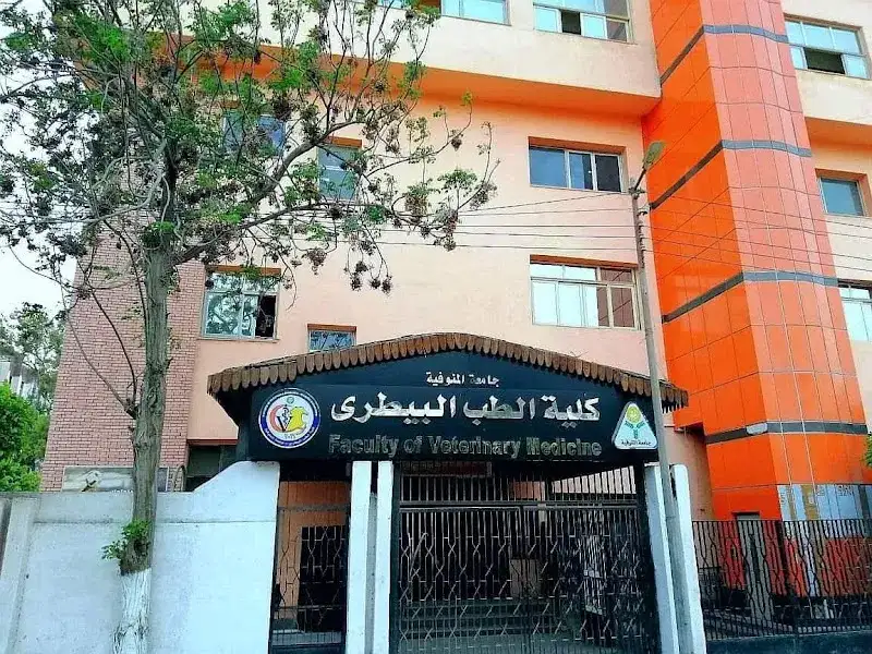 كلية الطب البيطري جامعة المنوفية