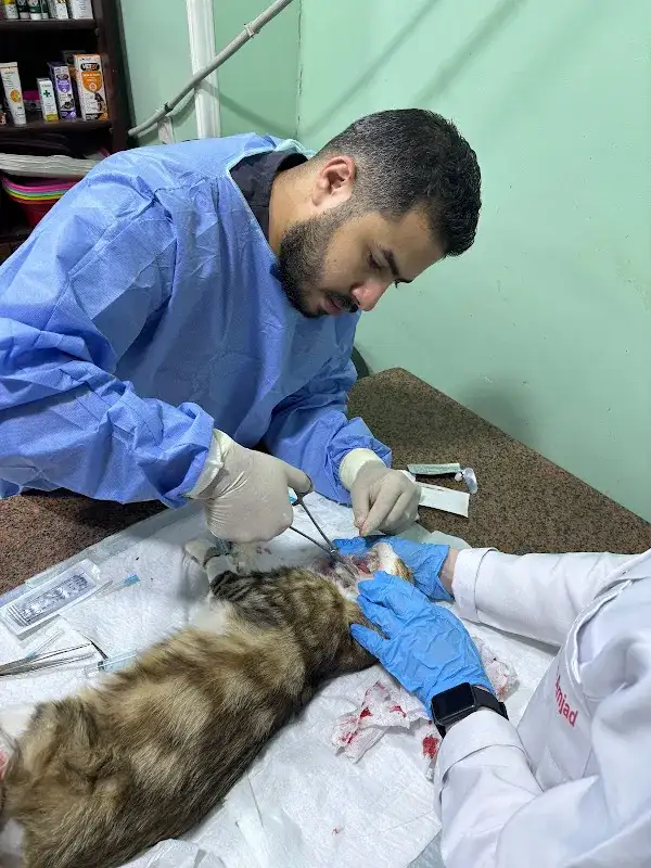 PET&amp;VET CLINIC