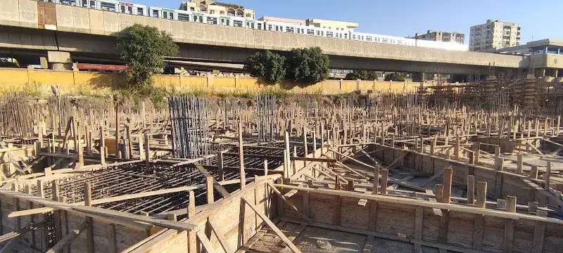 مشروع كلية طب بيطري