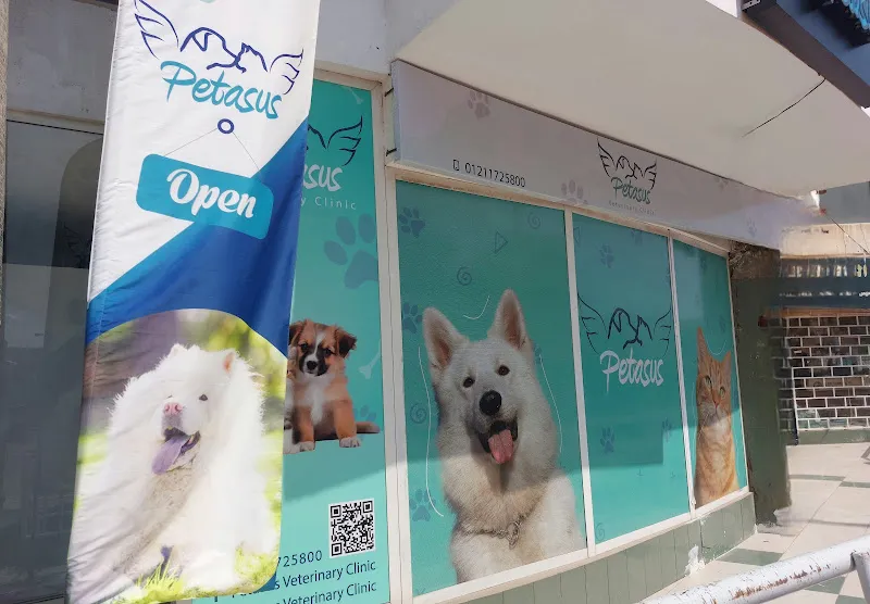 Petasus Veterinary Clinic