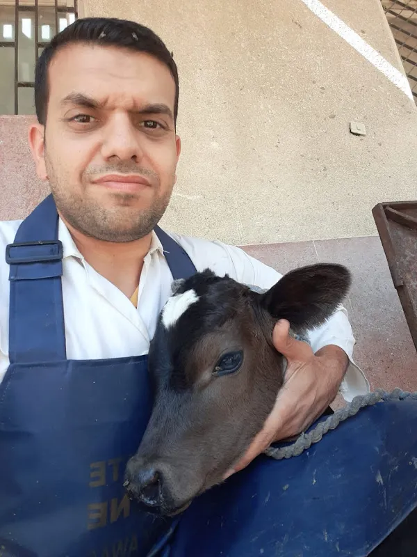 طبيب بيطري تامر رمضان